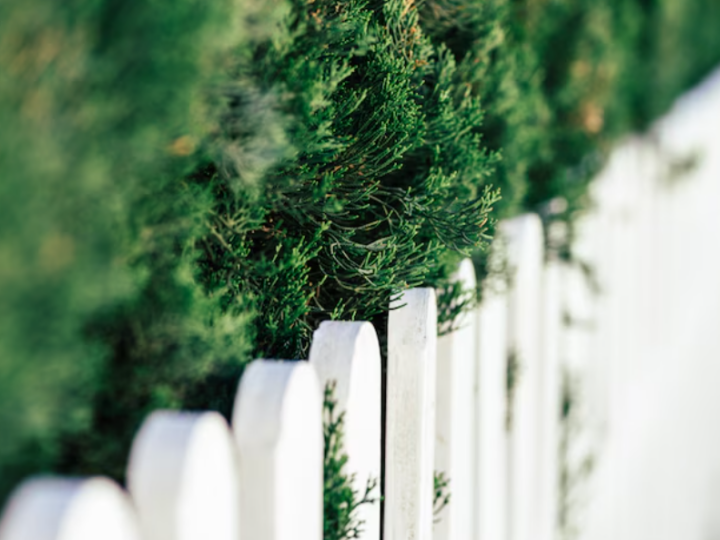 How Residential Fencing Services Give Your Home Better Security and Style