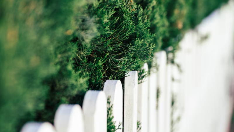 How Residential Fencing Services Give Your Home Better Security and Style