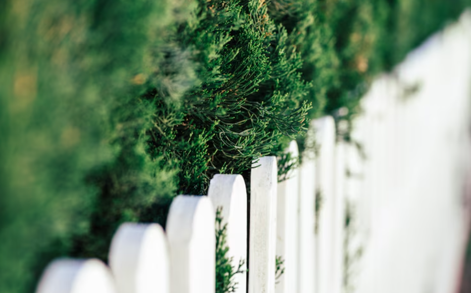 How Residential Fencing Services Give Your Home Better Security and Style